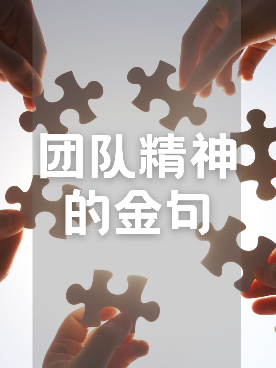 团队合作默契,赛场上展现出强大实力的简单介绍 团队合作默契,赛场上展现出强大实力的简单介绍